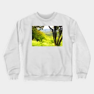 May Crewneck Sweatshirt